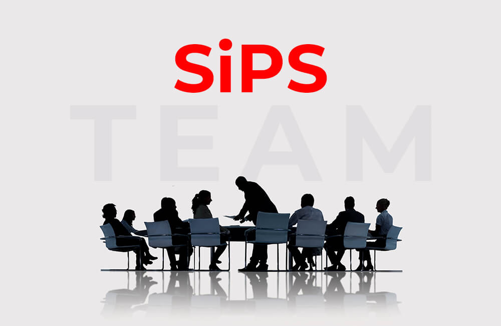 SiPS team in a meeting